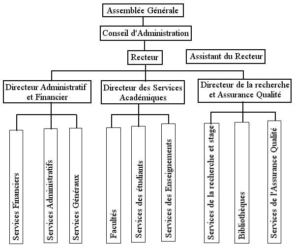 Organigramme